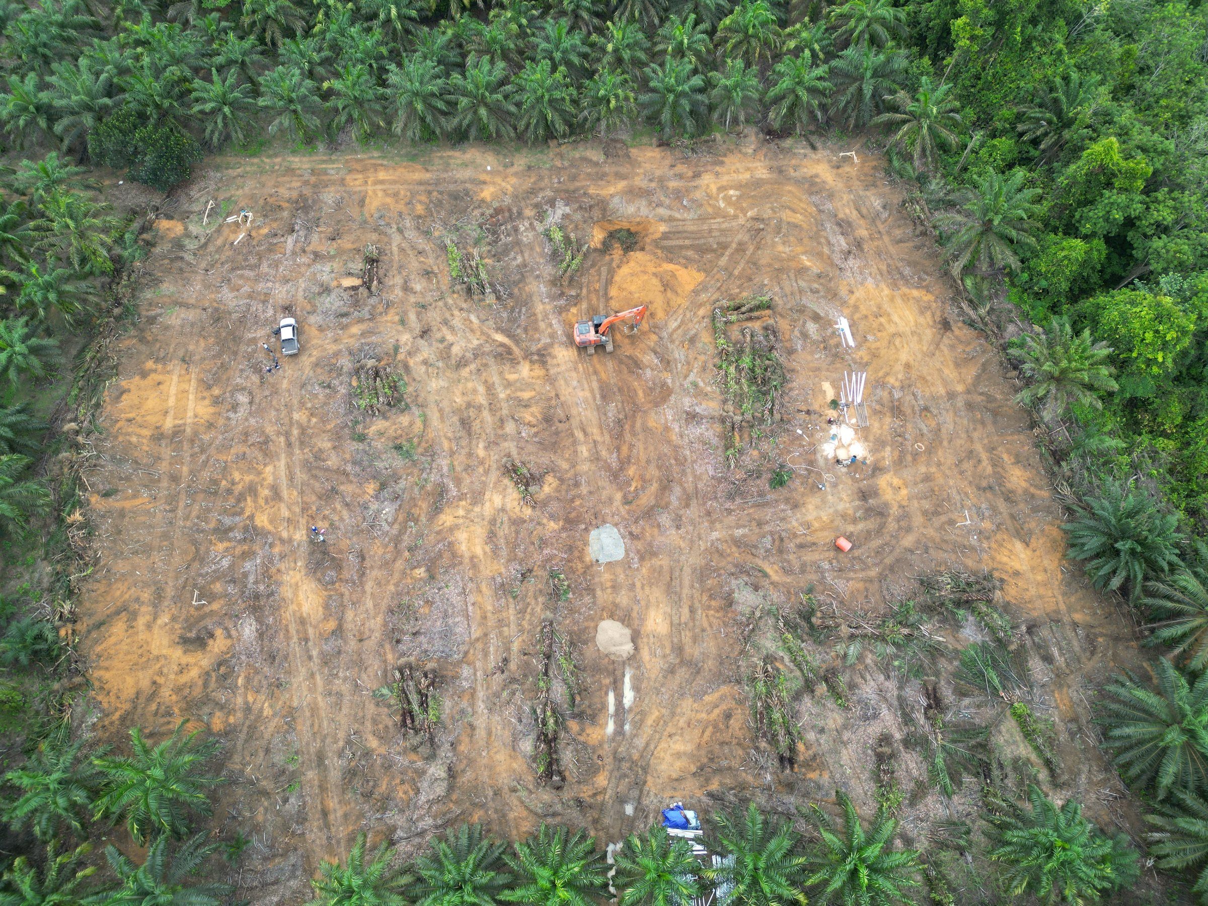 Blok di tengah kebun sawit setelah pohon ditumbang dan dirumpuk, foto udara